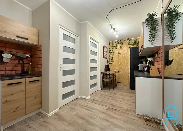 ホームステイ Stary Pow 3b64 P2 *