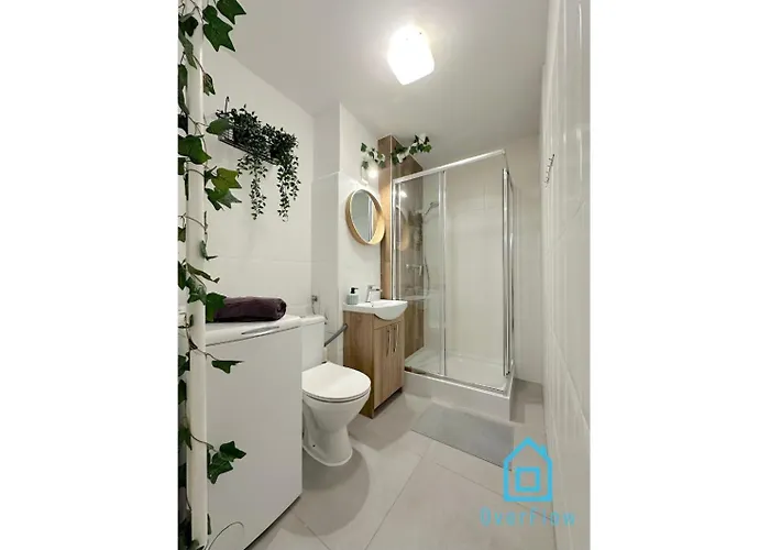 ホームステイ Stary Pow 3b64 P2